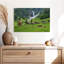 Alvord, Suisse, Highland Cows-107854207