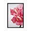 « rose double i », impression sur toile-29483390-73561060-73561059