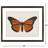Langport III Framed Art