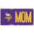 Vikings du Minnesota