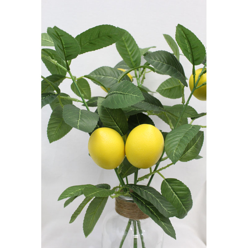 Faux citron 19 po