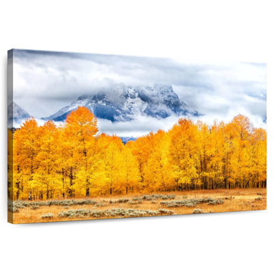 Alvord Golden Teton Autumn