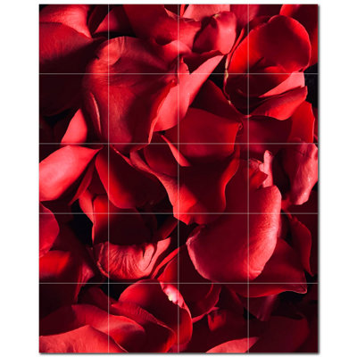 Fleurs photo 6 x 6