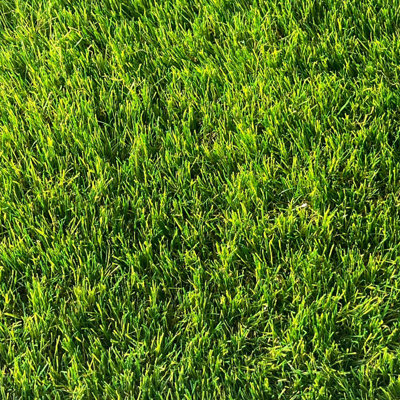 Brioney 40mm Premium Artificial Grass For Lawn, Non-Slip Fake Grass-3m(9'9") X 4m(13'1")-12m²