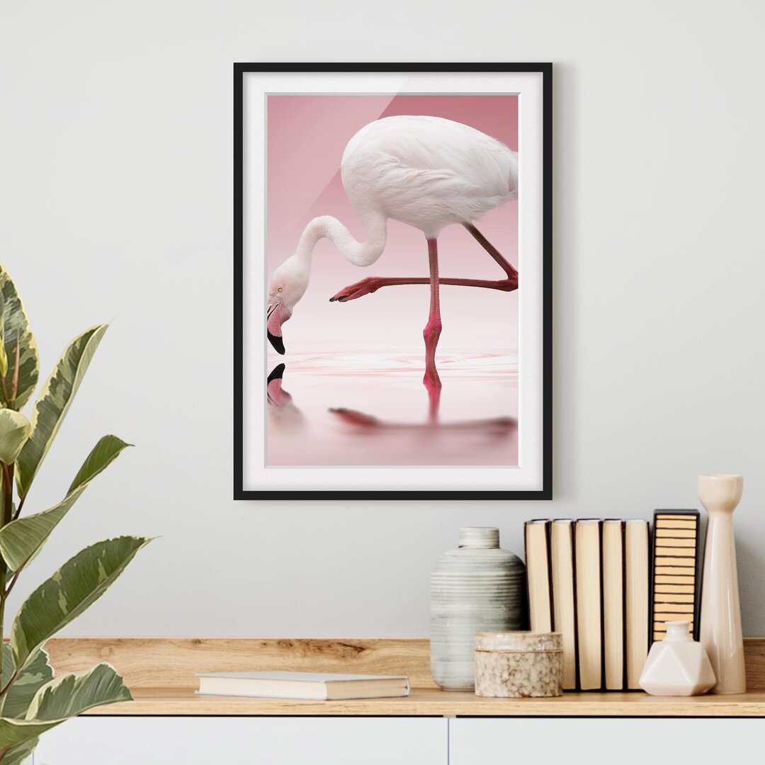 Gerahmtes Poster Flamingo Dance