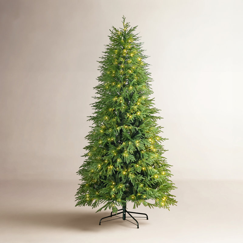 Sapin de Noël pré-éclairé Noble, H 9 pi