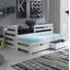 Levin Solid Wood Daybed with Trundle