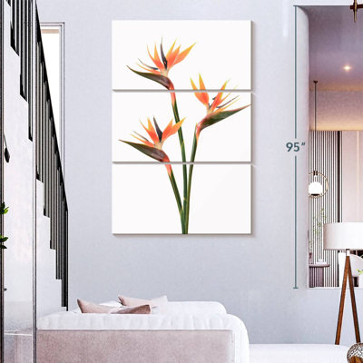 Harnek fleurissant des oiseaux du paradis