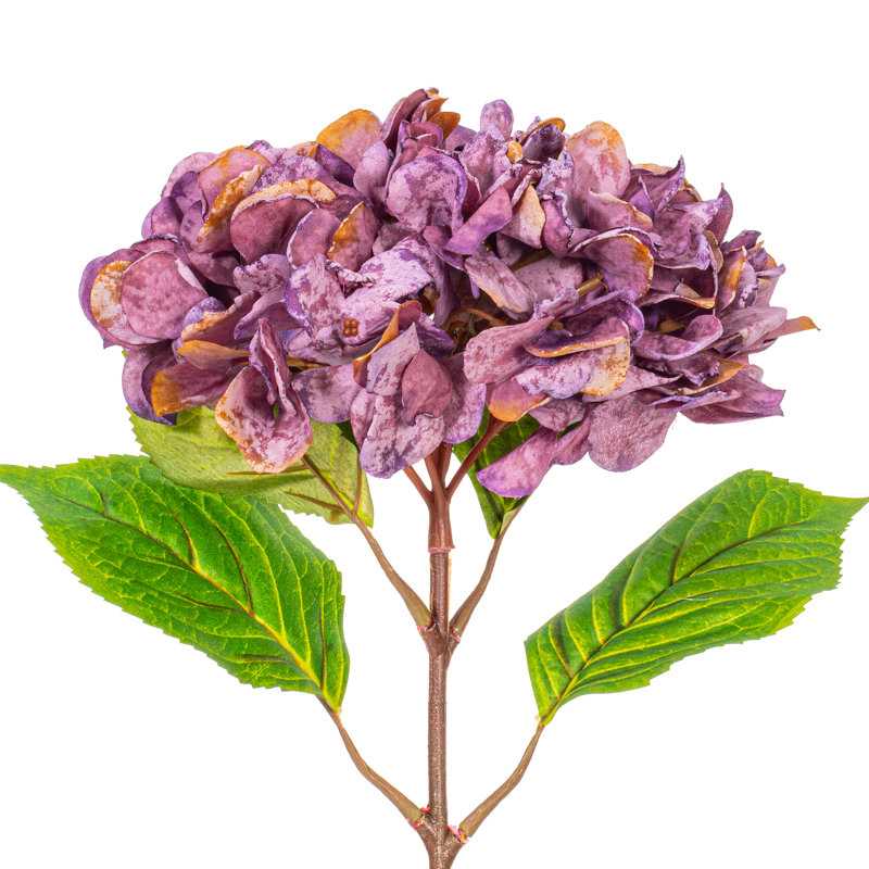 Tige d'hydrangée de 20 po Primrue. Chaque sac contient deux jets., Mauve