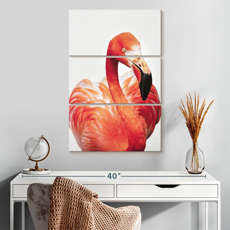 Flamant rose Brampt