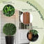 Arbres de bouleau topiaire artificiel 24 pouces