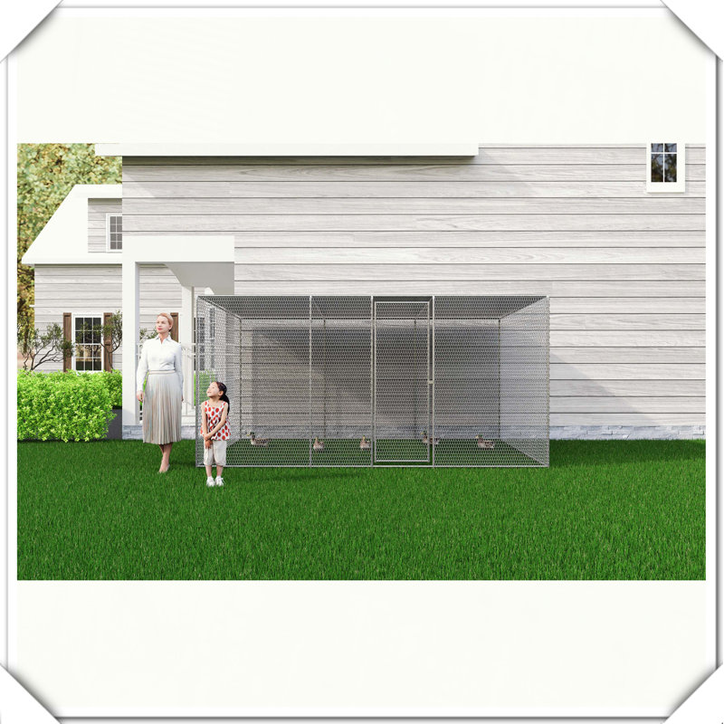 Cage à poules pour l'extérieur, H 78,7 po x l 157,4 po x P 58,4 po