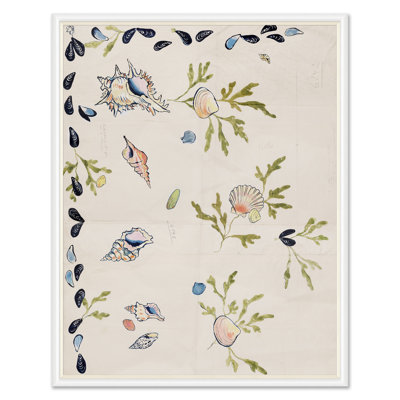 Shell 2 Print by Paule Marrot