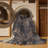 Cliftina Oriental Indoor Rug-699629726