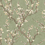 Spring Blossom Sakura Tree Design 33' L x 21" W Wallpaper Roll