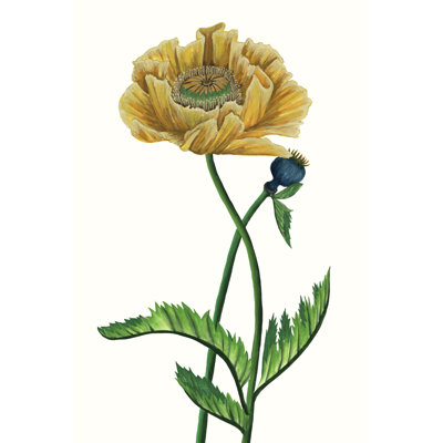 Poppy Flower I by Melissa Wang -  Painting