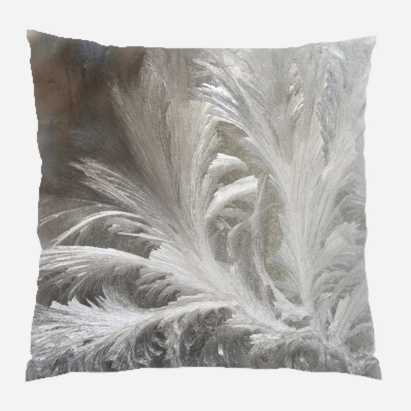  Coussin décoratif intérieur / extérieur Freezing