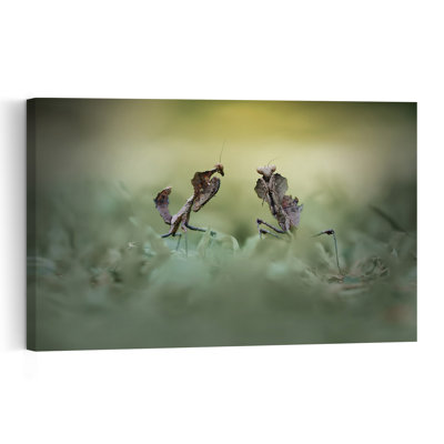 Two Leaf Mantises Delicate Contemporary Animal Forest Wall Art Print 1 Piece Wrapped Canvas Wall Art