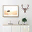 Wandering Bison in Abstract - Picture Frame Painting Print-55760543-55760545