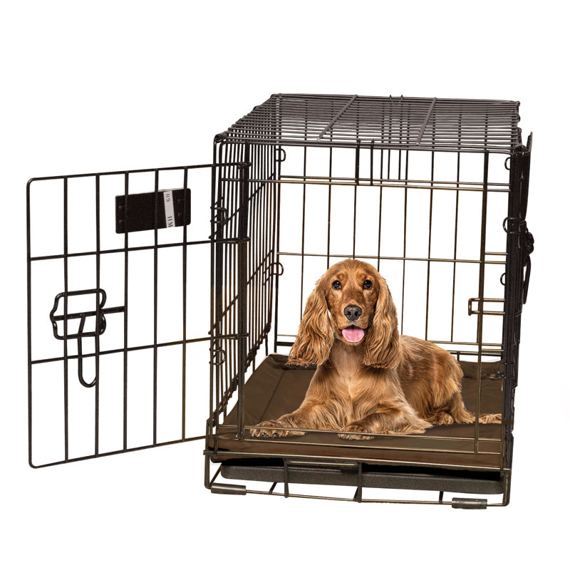 Tapis de caisse pour chien auto-chauffant, Moyen (l 31 po x P 21 po x H 0,5 po), Moka
