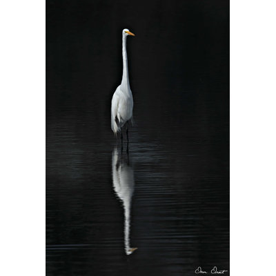Aigrette élégante I
