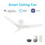 Ventilateur de plafond intelligent Calen avec télécommande, ensemble d'éclairage inclus, fonctionne avec l'assistant Google, Amazon Alexa et les raccourcis Siri.-2102268319-2102268314-2102268315