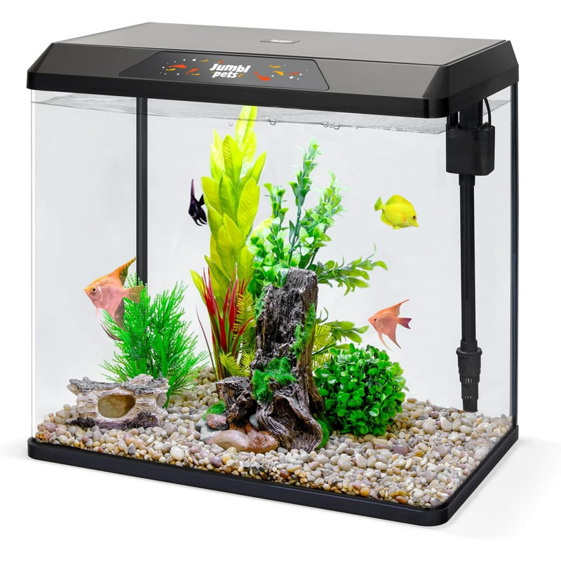 Aquarium Derez, 10 gallons (H 19,7 po x l 11,4 po x P 18,9 po)