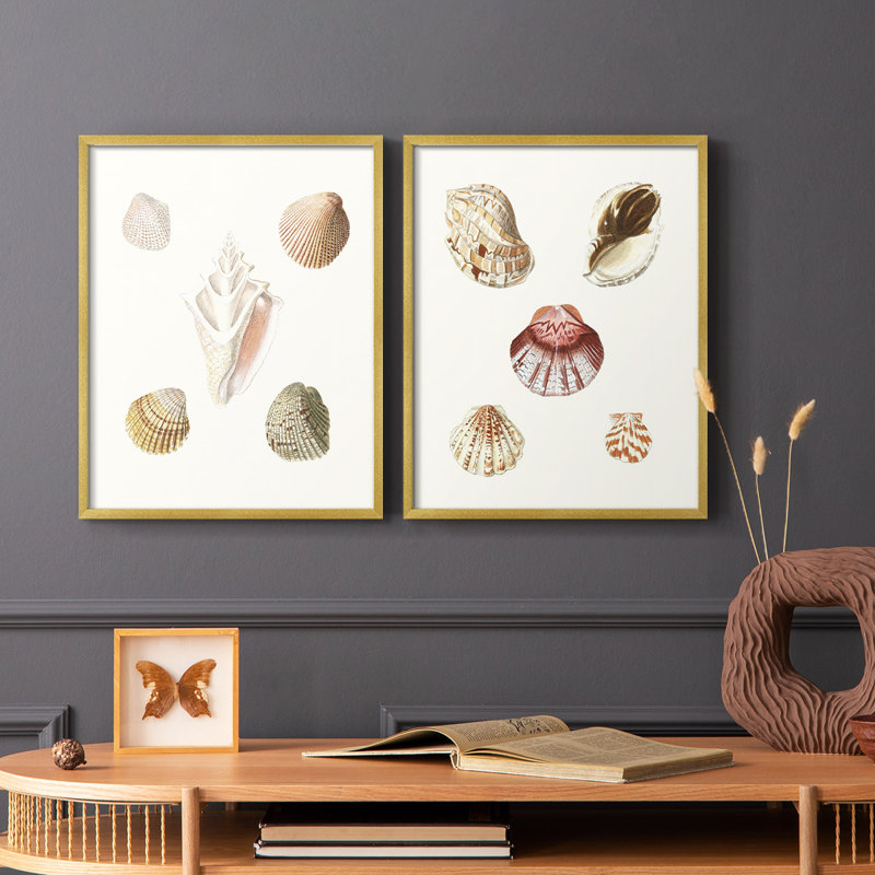 «Pastel Knorr Shells», reproduction encadrée de qualité supérieure - prête à être accrochée - aucun clou requis - aucun clou requis