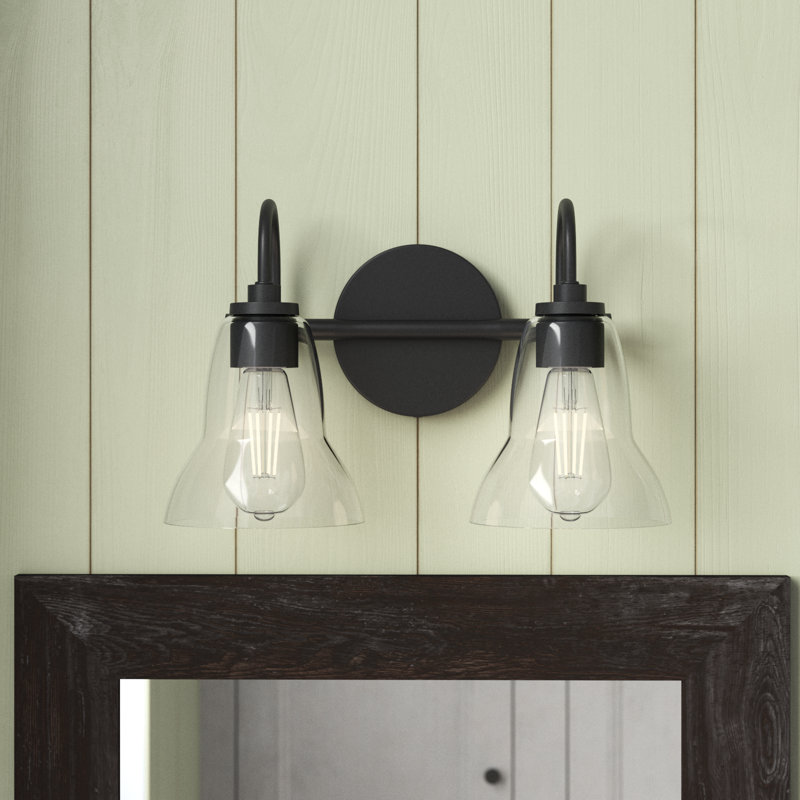 Black Steel Dual Light Vanity with Clear Glass Shades