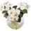 Phalaenopsis Orchid Floral Arrangement in Decorative Vase