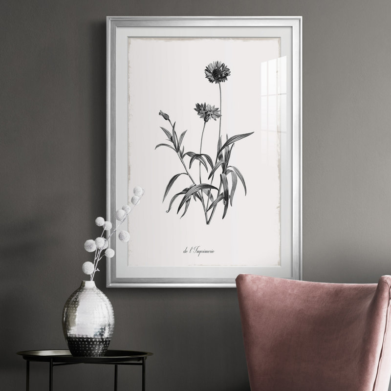 Simplement impérial - Cadre photo, reproduction d'art sur papier, Papier avec cadre argenté, H 30,5 po x l 42,5 po x P 1,5 po
