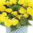 Begonias in Dotted Ceramic Pot-476735003