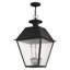 Lanterne suspendue d'extérieur Arnetria à 4 lumières H 24,5 po-22670192