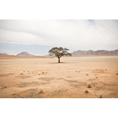 Solitary Tree by Pieter-Pieter - Wrapped Canvas Print