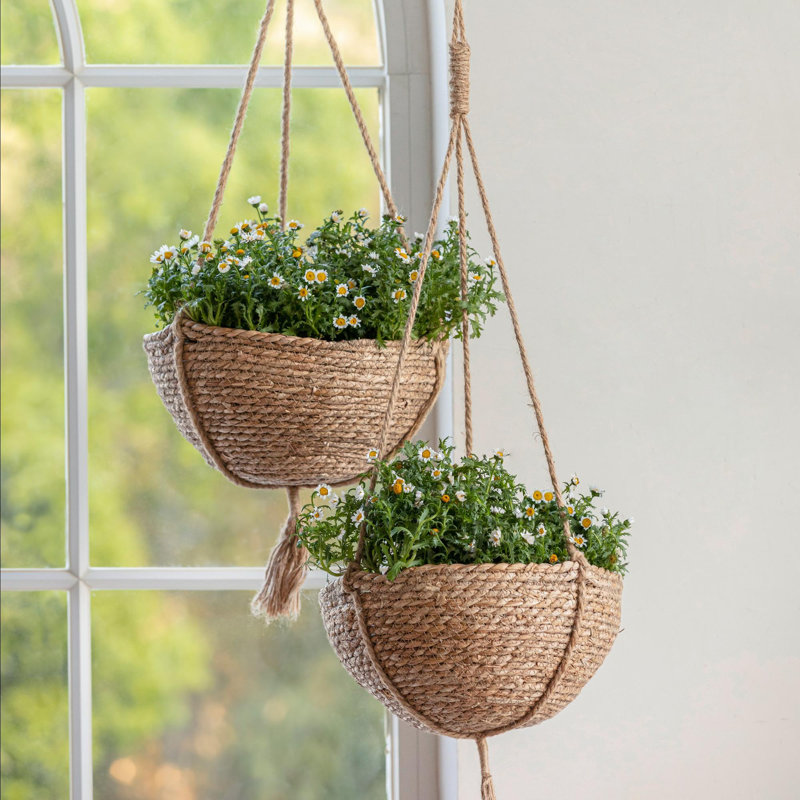 Pot à fleurs suspendu Tierney, Brun, H 6,3 po x l 12,4 po x P 12,4 po