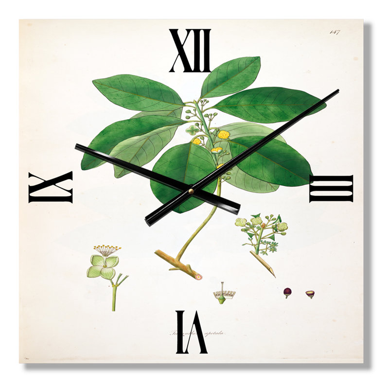 Horloge murale rétro Vintage Botanicals V, Petit