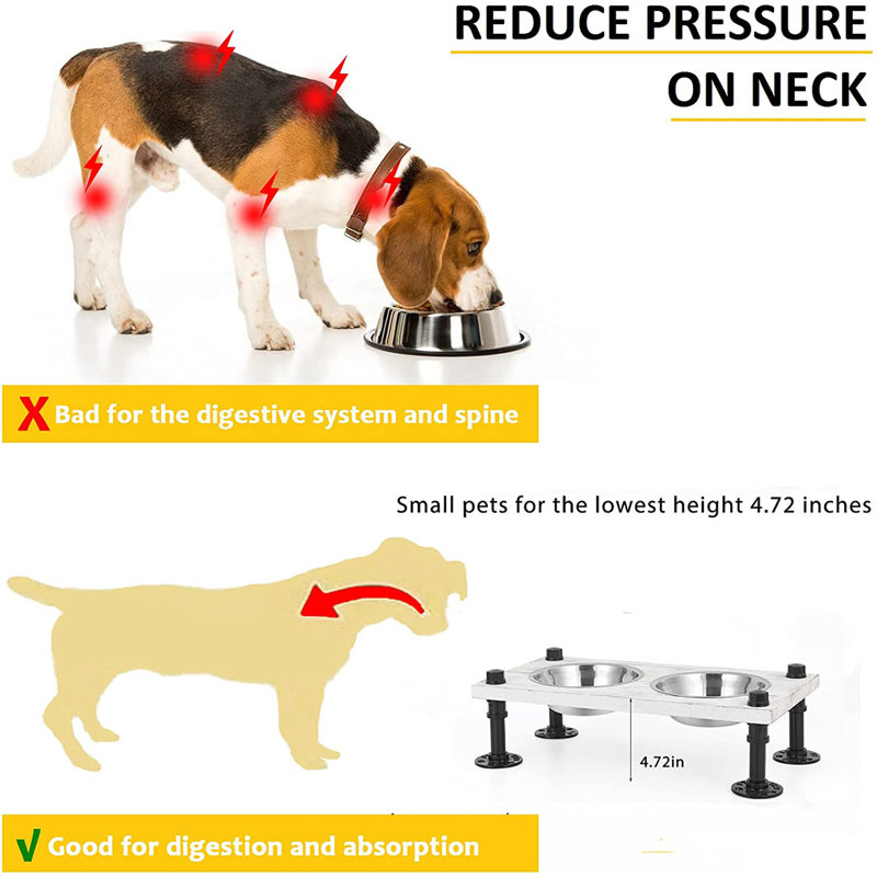 Mangeoire double pour chien, Moyen (4,72 po)