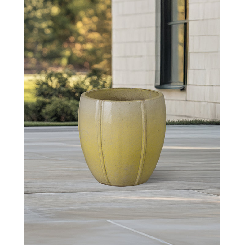 CREST PLANT, NEIGE, Jaune, H 16,5 po x l 16,5 po x P 16,5 po