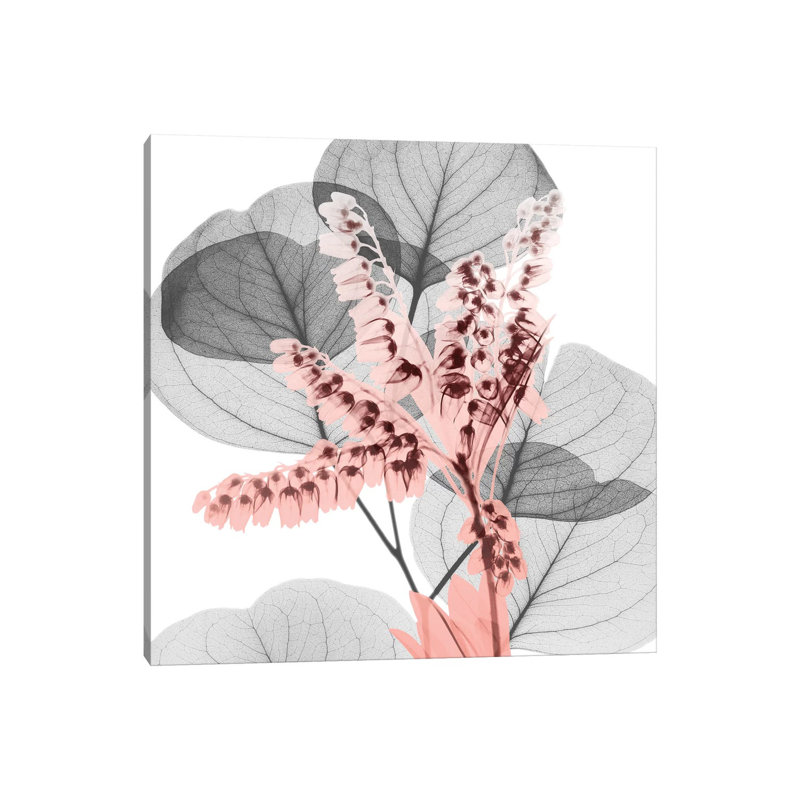 Eucalyptus Blush I by Albert Koetsier - Wrapped Canvas Painting, 45.72 cm H x 45.72 cm W x 3.175 cm D