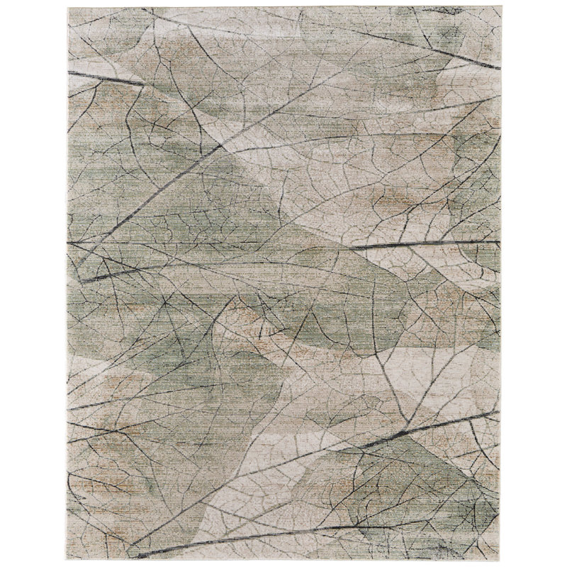 Tapis Farrica, Rectangulaire 2 pi x 3 pi
