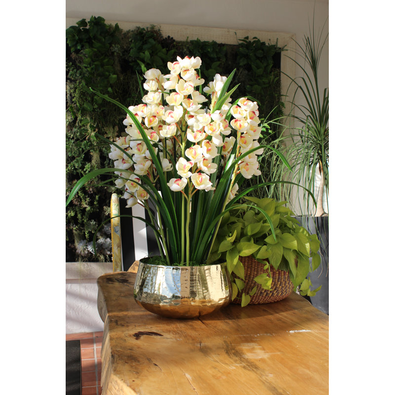 Orchids Floral Arrangement And Centerpiece In Planter, White
