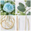 Arrangement-132447885