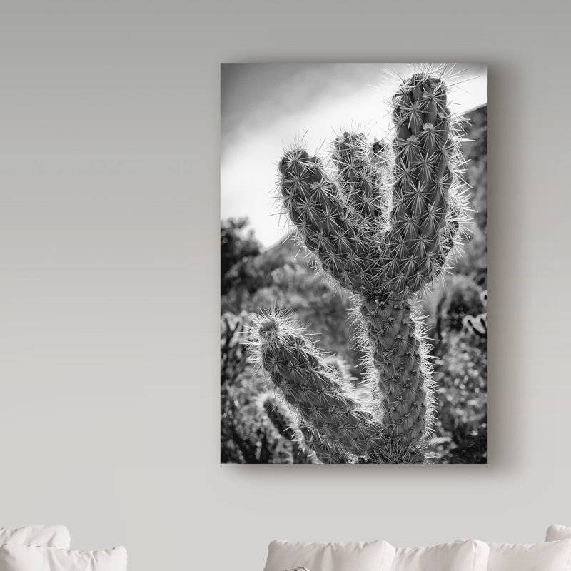 «Cactus Close Up», reproduction de photo sur toile tendue, H 32 po x l 22 po x P 2 po