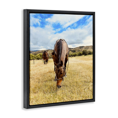 "Grazing Horses Pasture", art mural encadré flottant par Kali Wilson
