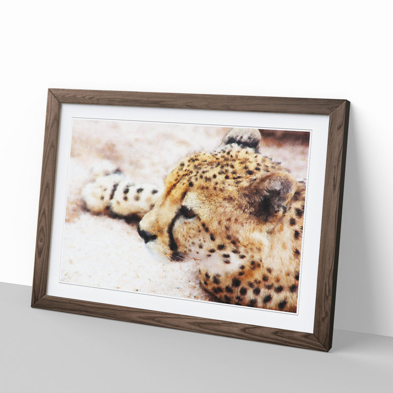 Cheetah Vol.1 - Framed Print, 27cm H x 36cm W x 2cm D, Walnut Framed