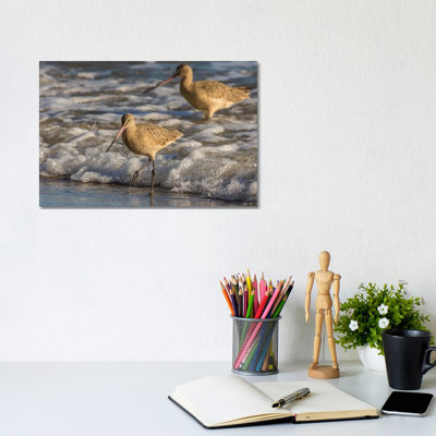 Usa, California, San Luis Obispo County by Jaynes Gallery - Wrapped Canvas Gallery-Wrapped Canvas Giclée