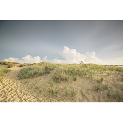 First Landing Dunes V - Photograph