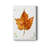 " Autumn Leaf Study I "-1078631048
