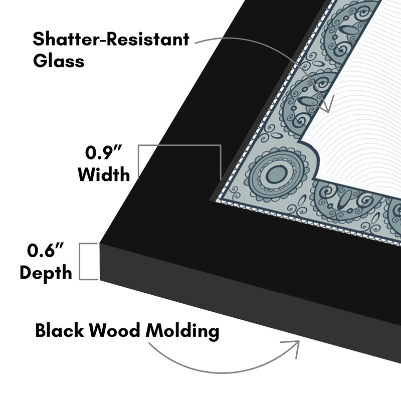 Meridee 8.5x11 Diploma Frame - Document Frame with Shatter-Resistant Glass and Engineered Wood - (2 Pack)