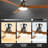 Amonta 52'' Ceiling Fan with LED Lights-469696389-469696388